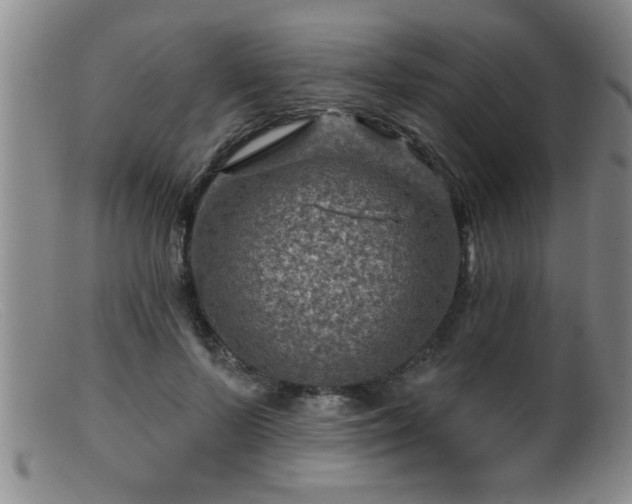 X0000099450695200805161022