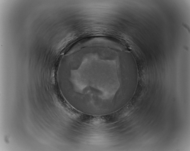 X0000099450696200805161022