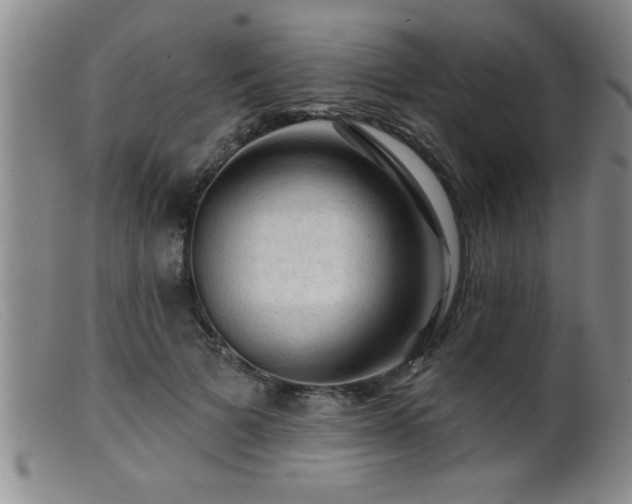 X0000099450697200805161022