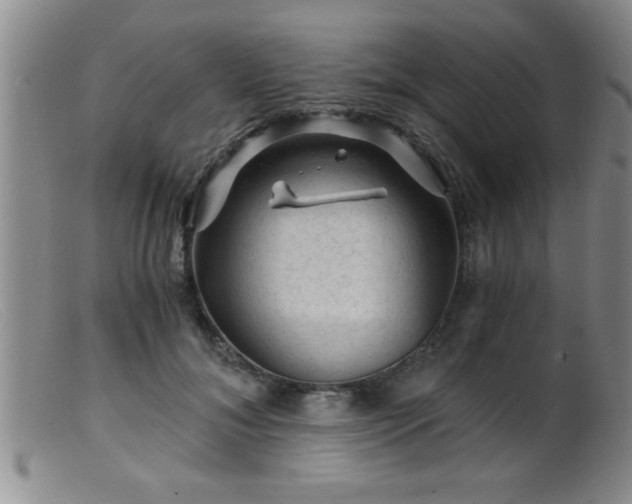 X0000099450700200805161022