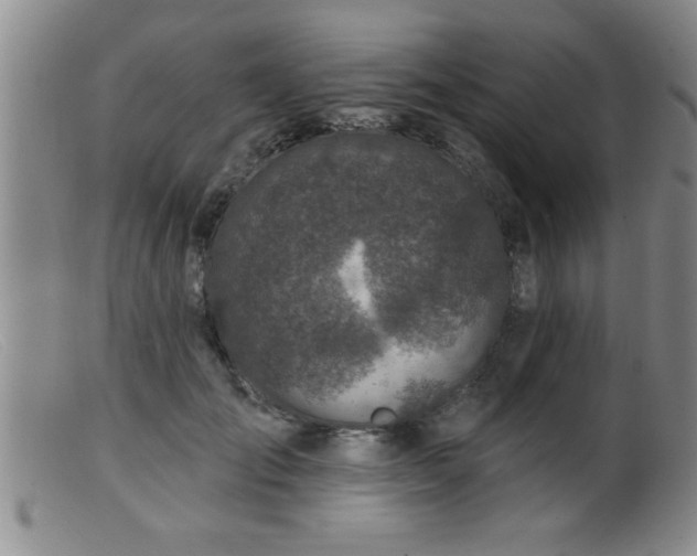 X0000099450701200805161022