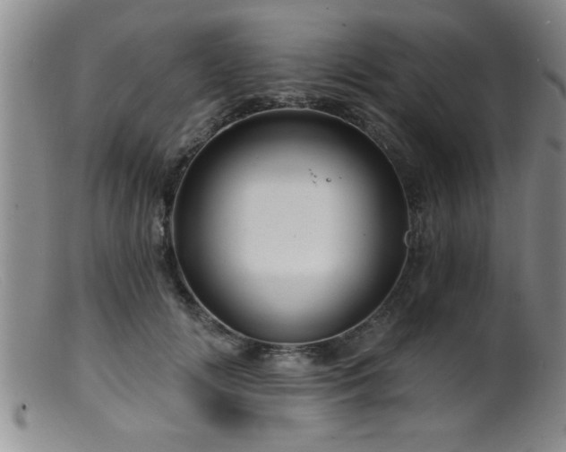 X0000099450702200805161022