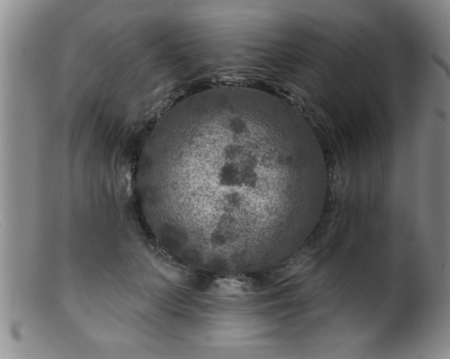 X0000099450703200805161022