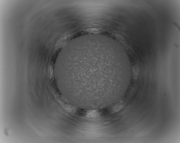 X0000099450705200805161022