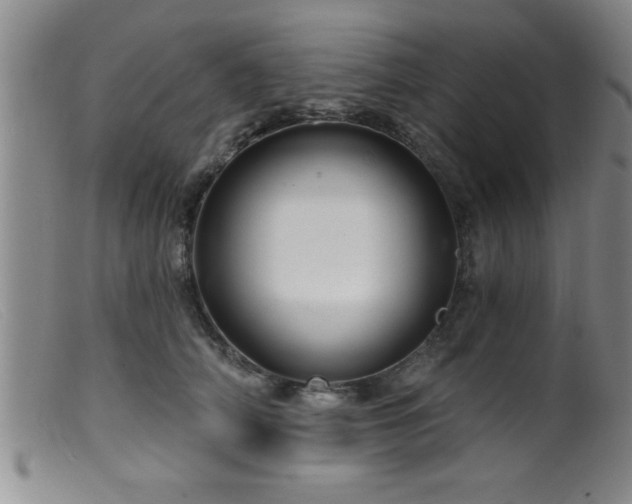 X0000099450706200805161022