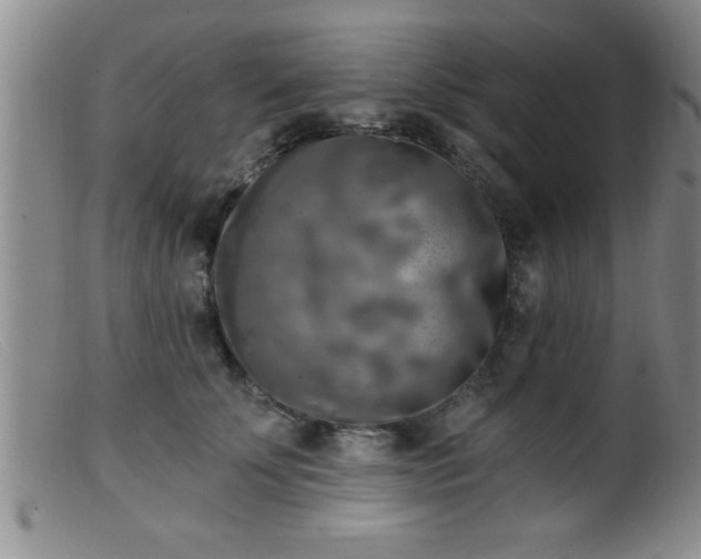 X0000099450707200805161022