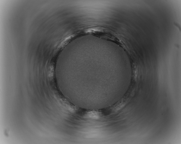 X0000099450708200805161022