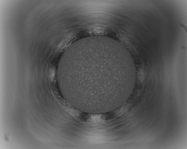 X0000099450709200805161022