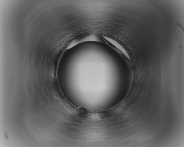 X0000099450710200805161022