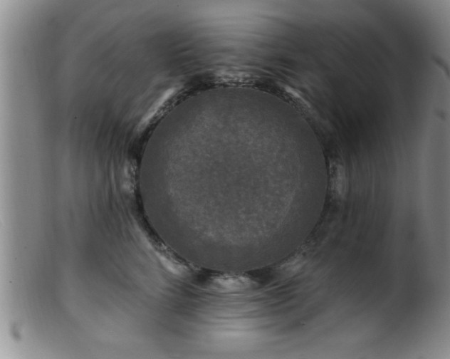 X0000099450712200805161022