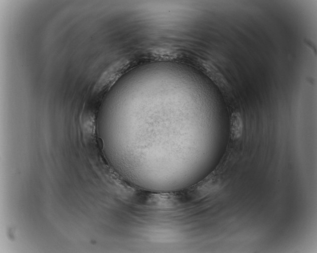 X0000099450713200805161022