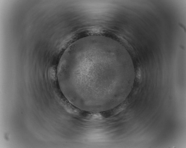 X0000099450715200805161022