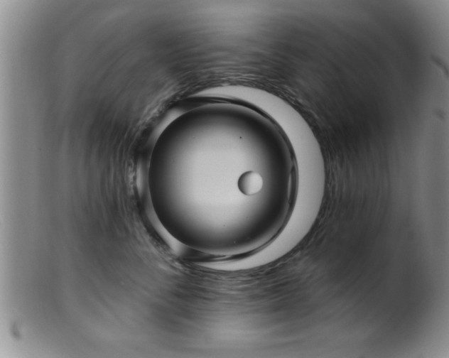 X0000099450716200805161022