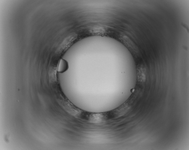 X0000099450717200805161022