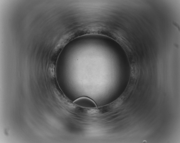 X0000099450718200805161022