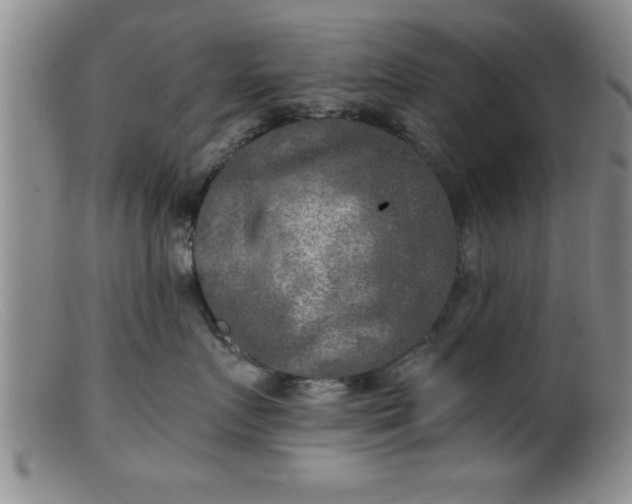 X0000099450719200805161022