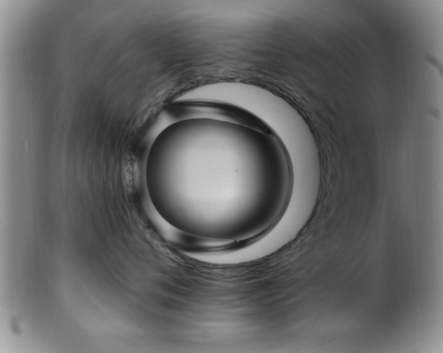 X0000099450720200805161022