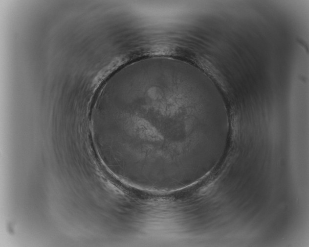 X0000099450721200805161021