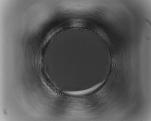 X0000099450722200805161021