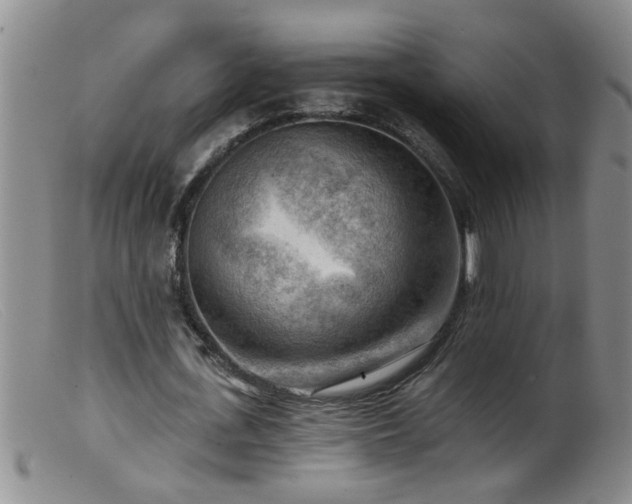 X0000099450723200805161021