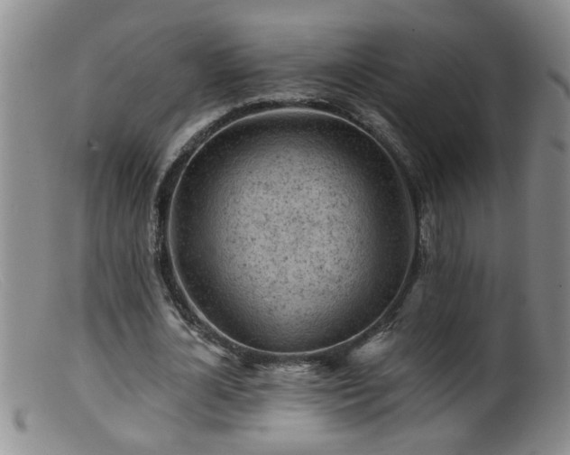 X0000099450724200805161021