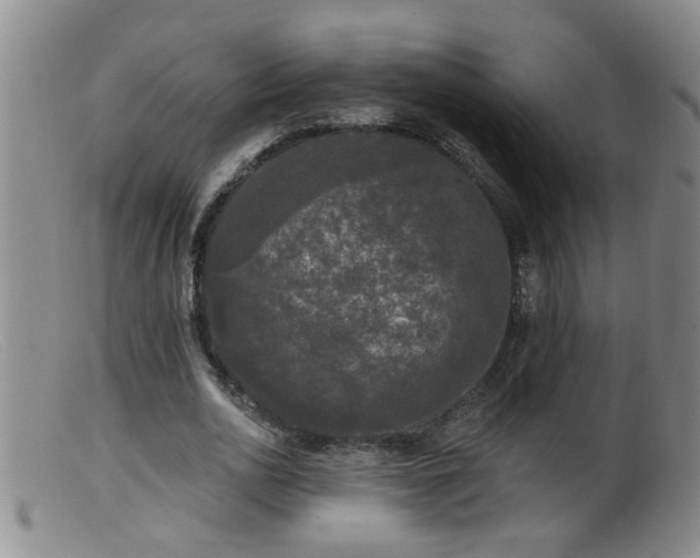 X0000099450726200805161021