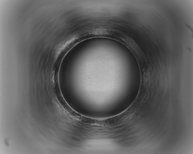 X0000099450727200805161021