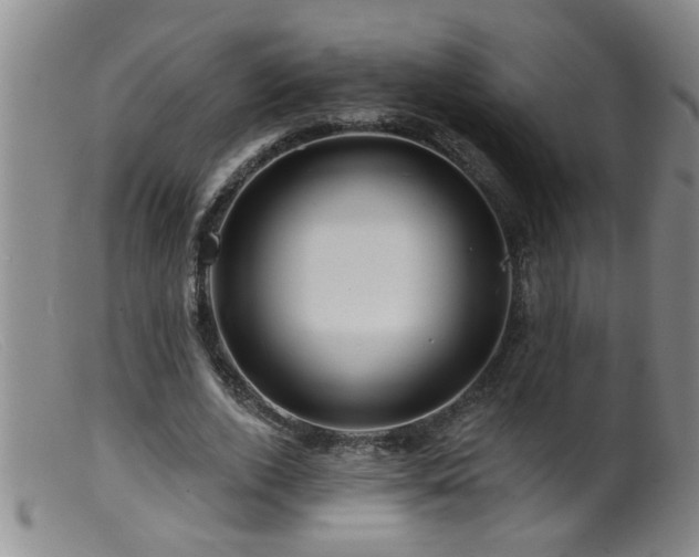 X0000099450728200805161021