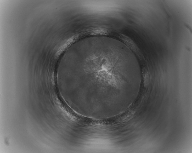 X0000099450729200805161021