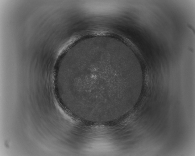 X0000099450730200805161021