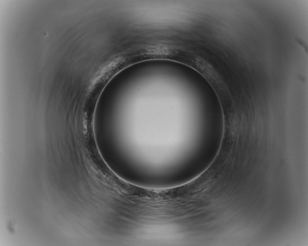 X0000099450731200805161021