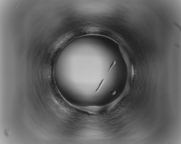 X0000099450732200805161021