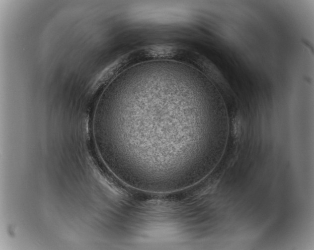 X0000099450733200805161021