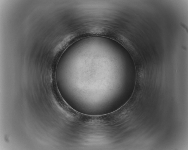 X0000099450734200805161021