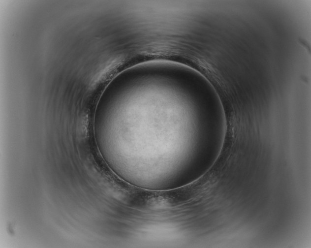 X0000099450735200805161021