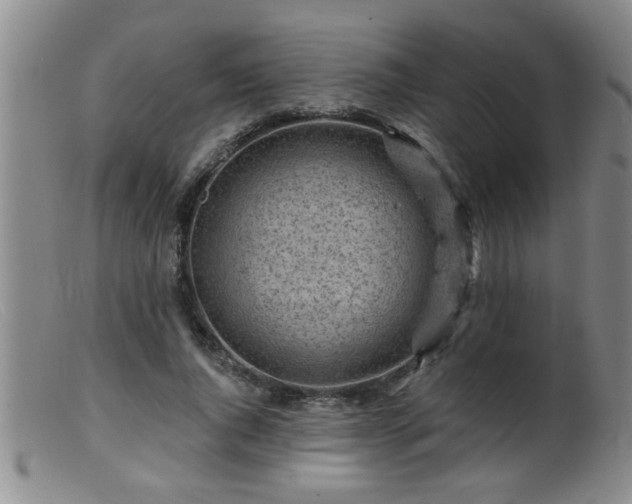 X0000099450736200805161022