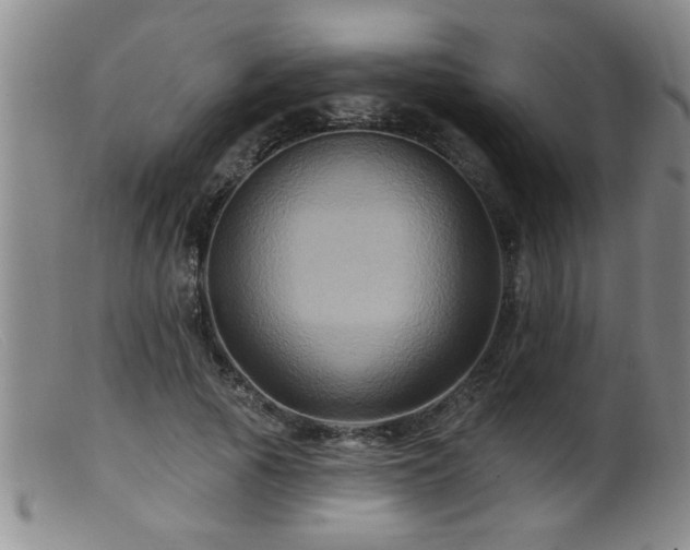 X0000099450737200805161022