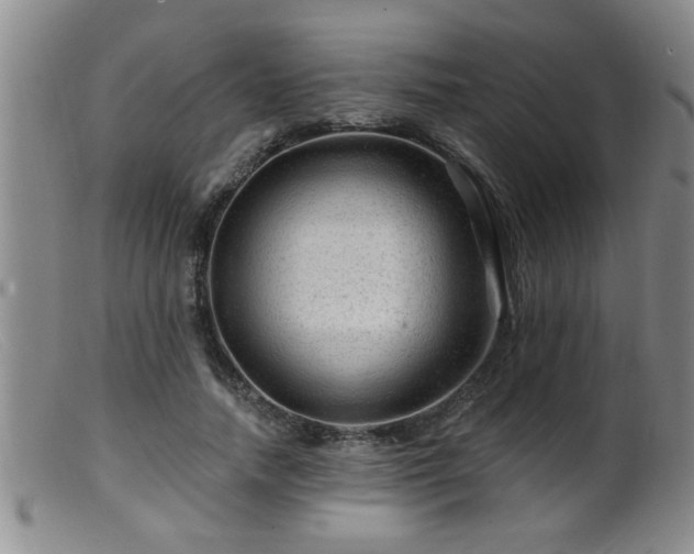 X0000099450738200805161022