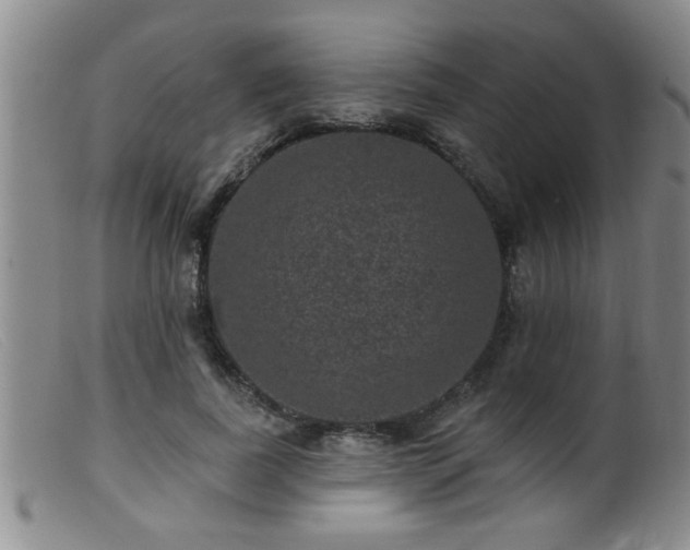 X0000099450739200805161022