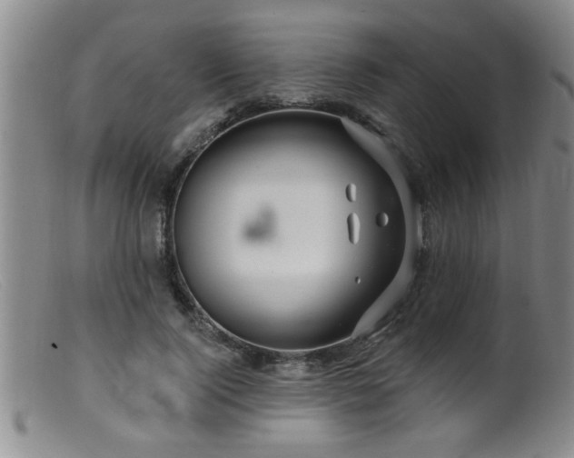 X0000099450740200805161022