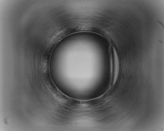 X0000099450741200805161022