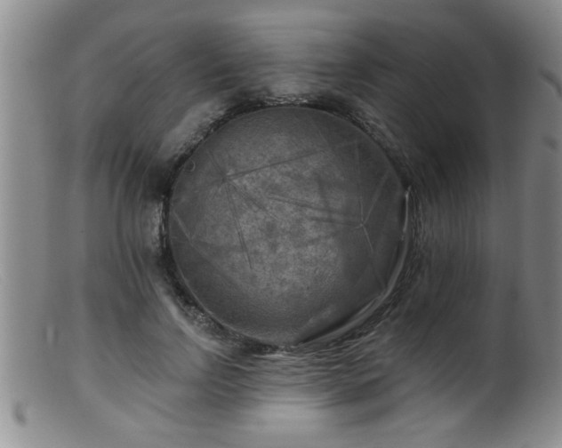 X0000099450742200805161022
