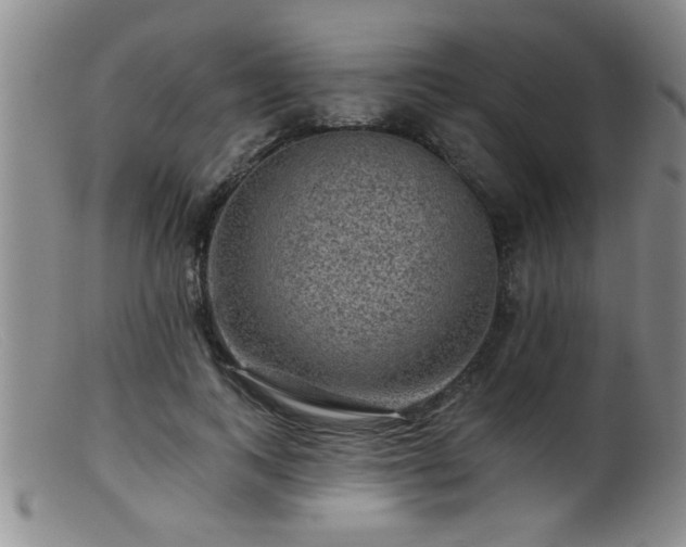 X0000099450743200805161022