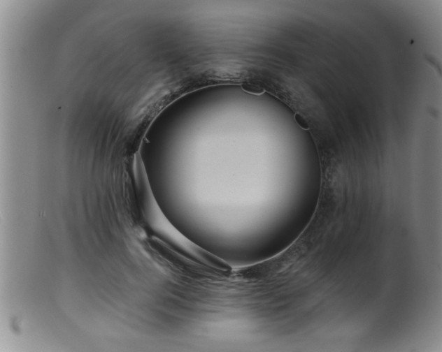 X0000099450744200805161022