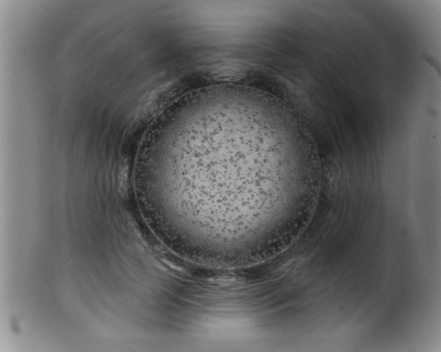 X0000099450745200805161022