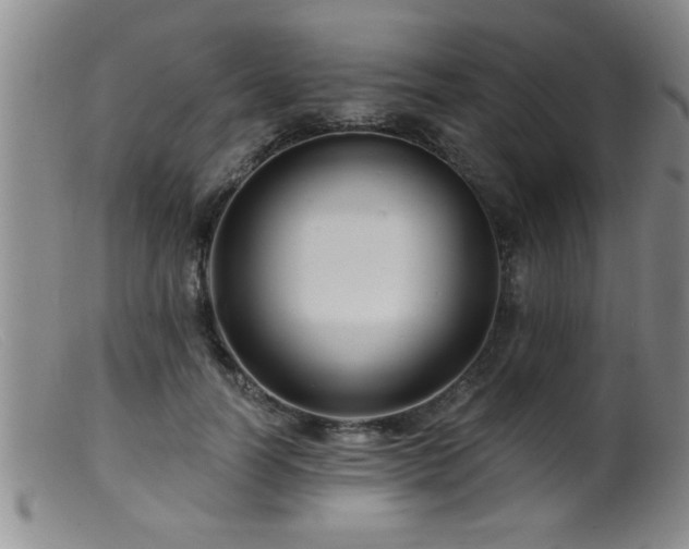 X0000099450746200805161022