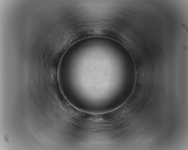 X0000099450747200805161022