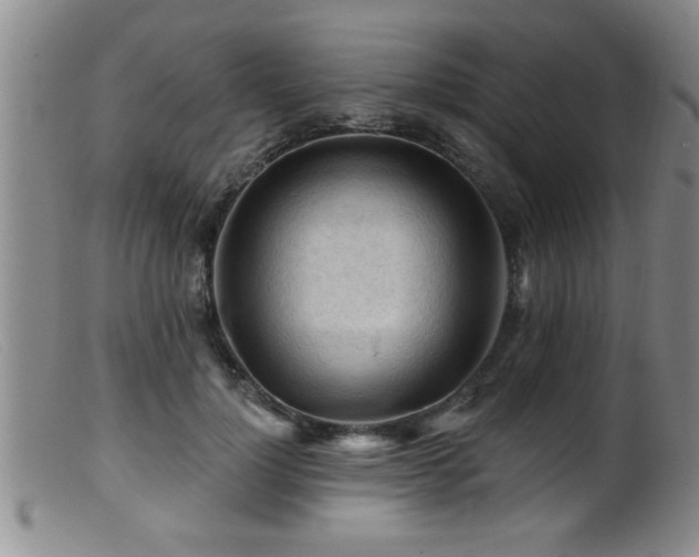 X0000099450748200805161022