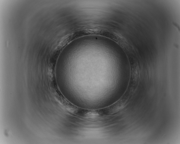 X0000099450749200805161022