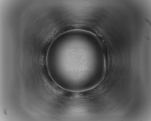 X0000099450750200805161022